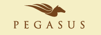 Pegasus Training Center